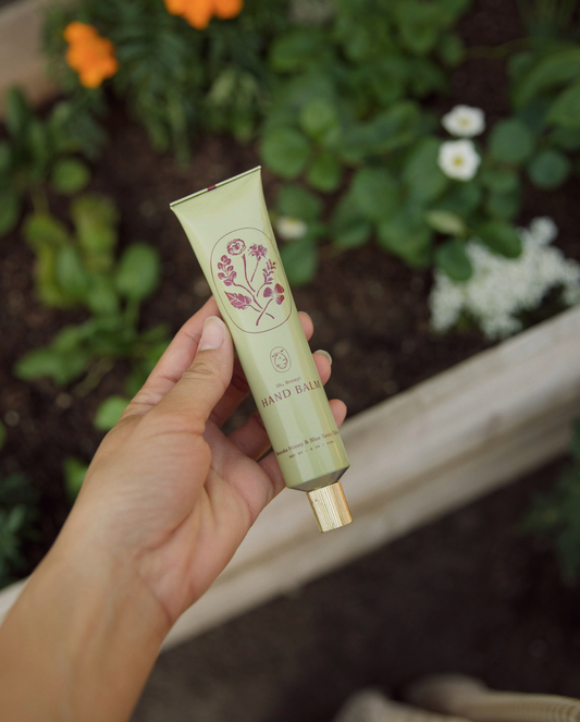 Manuka Honey & Blue Tansy Tallow (Hand Balm)