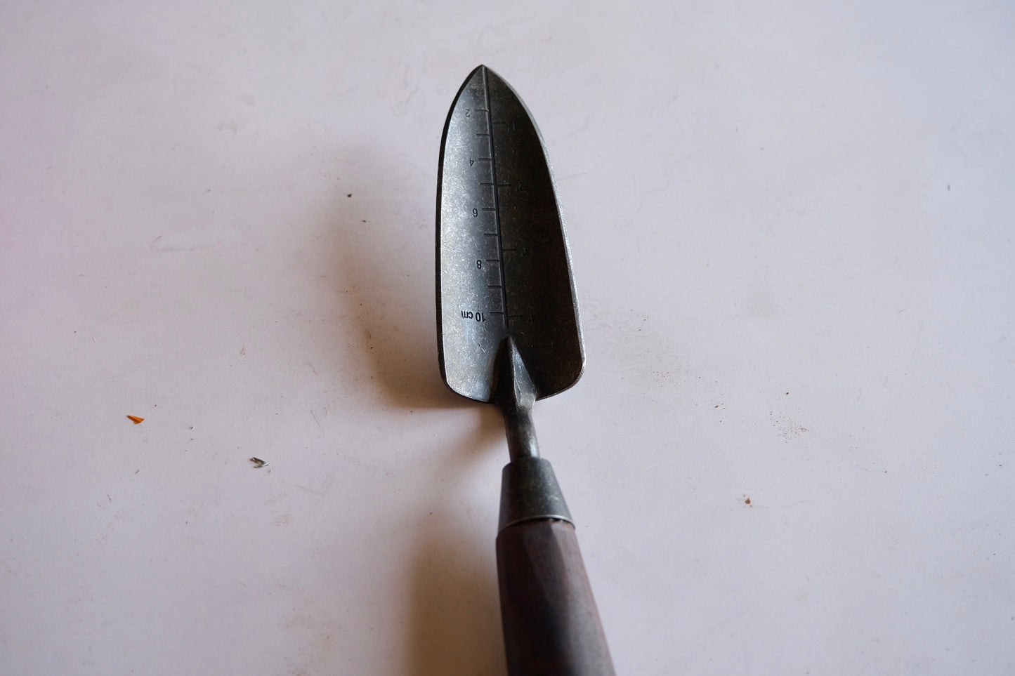 Walnut transplanter