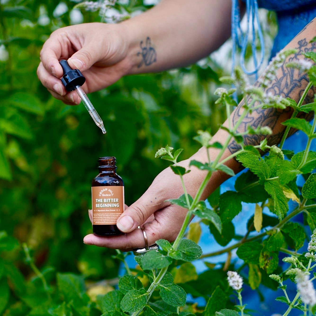 The Bitter Beginning Tincture– Bloat, Heartburn, Digestion