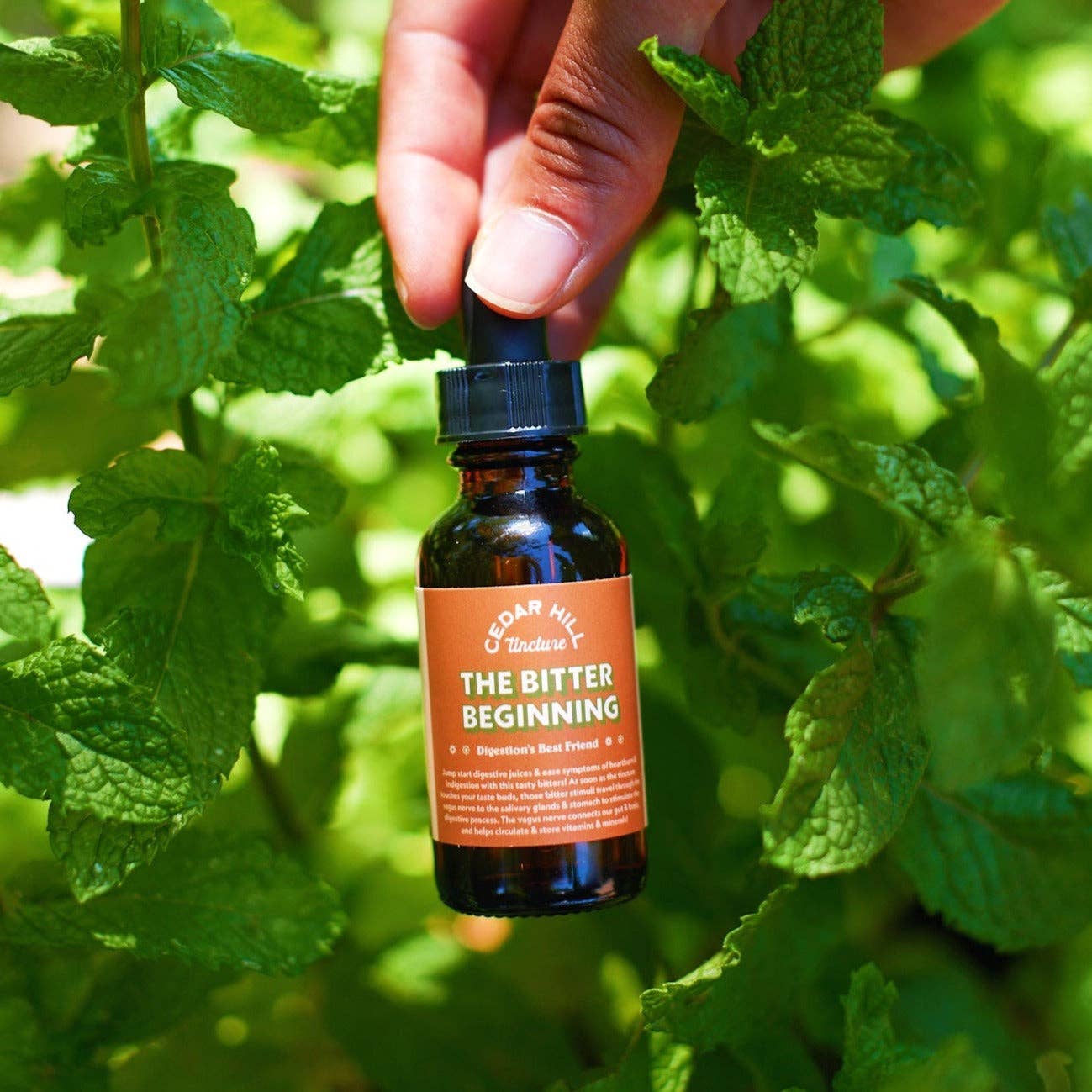 The Bitter Beginning Tincture– Bloat, Heartburn, Digestion
