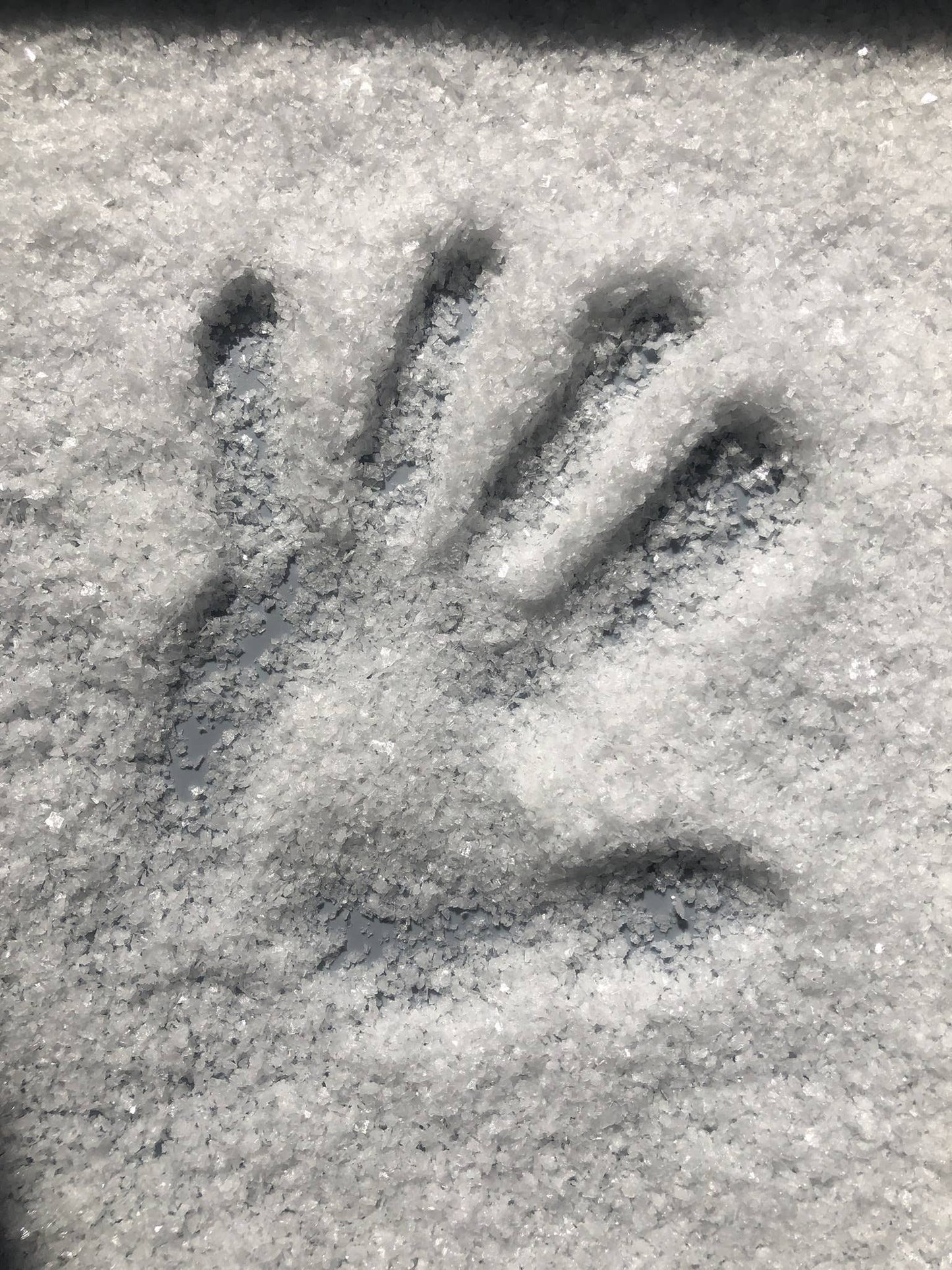 Havsnø Fine Kosher Norwegian Sea Salt