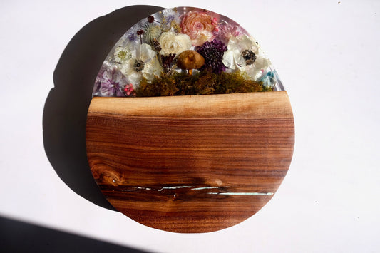 Cosmos board