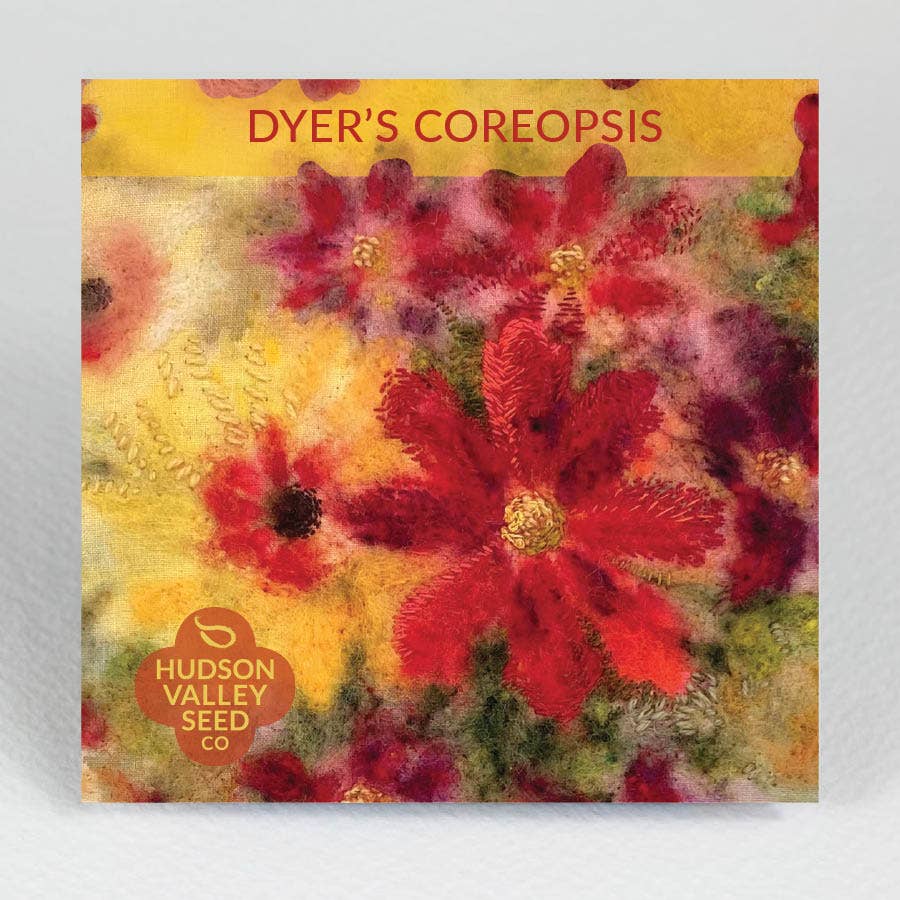 Dyer's Coreopsis