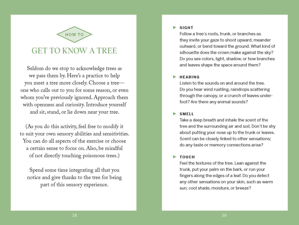 Pocket Nature: Tree Hugging