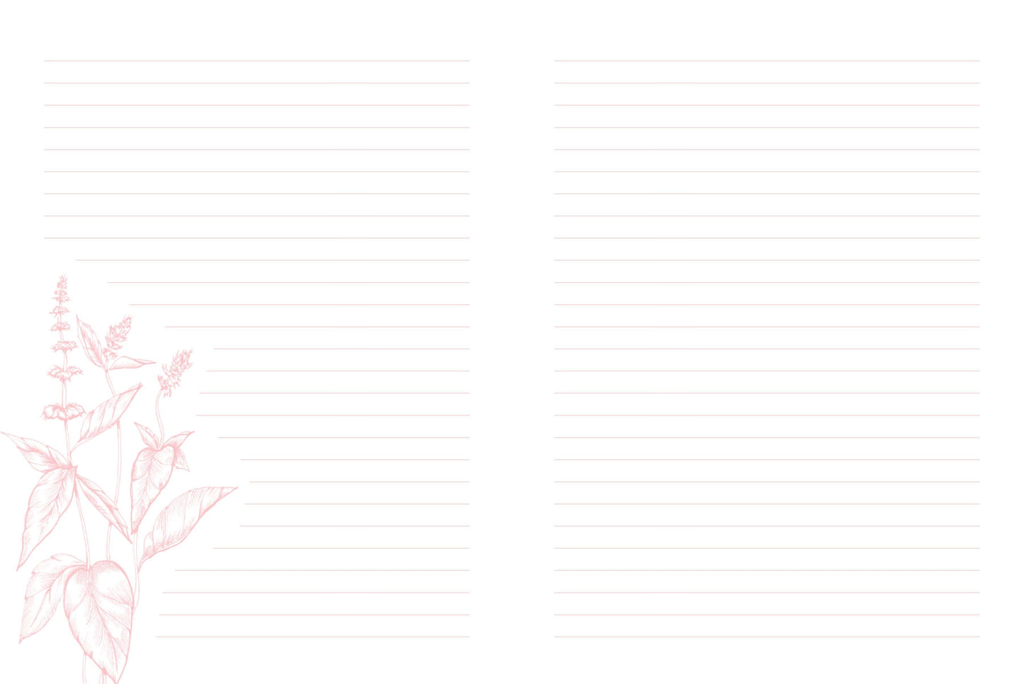 Floret Farm's Cut Flower Garden: Garden Journal