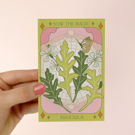 Arugula Tarot Garden + Gift Seed Packet