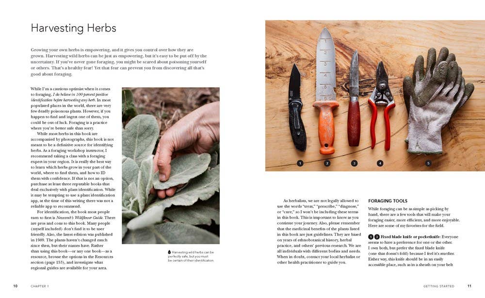 Herbal Handbook for Homesteaders: Farmed and Foraged