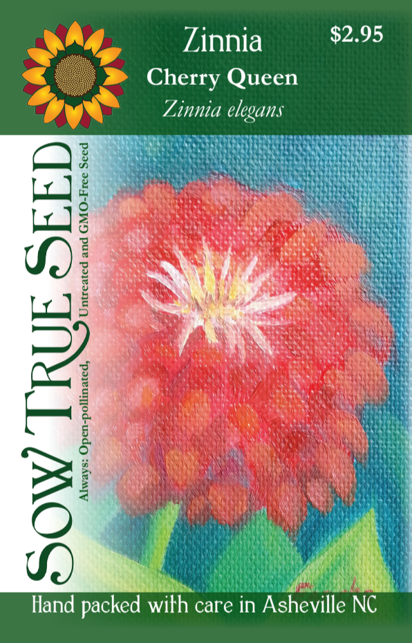 Zinnia Seeds - Cherry Queen