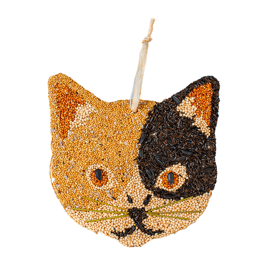 Cat Cookies - 12pk Assortment