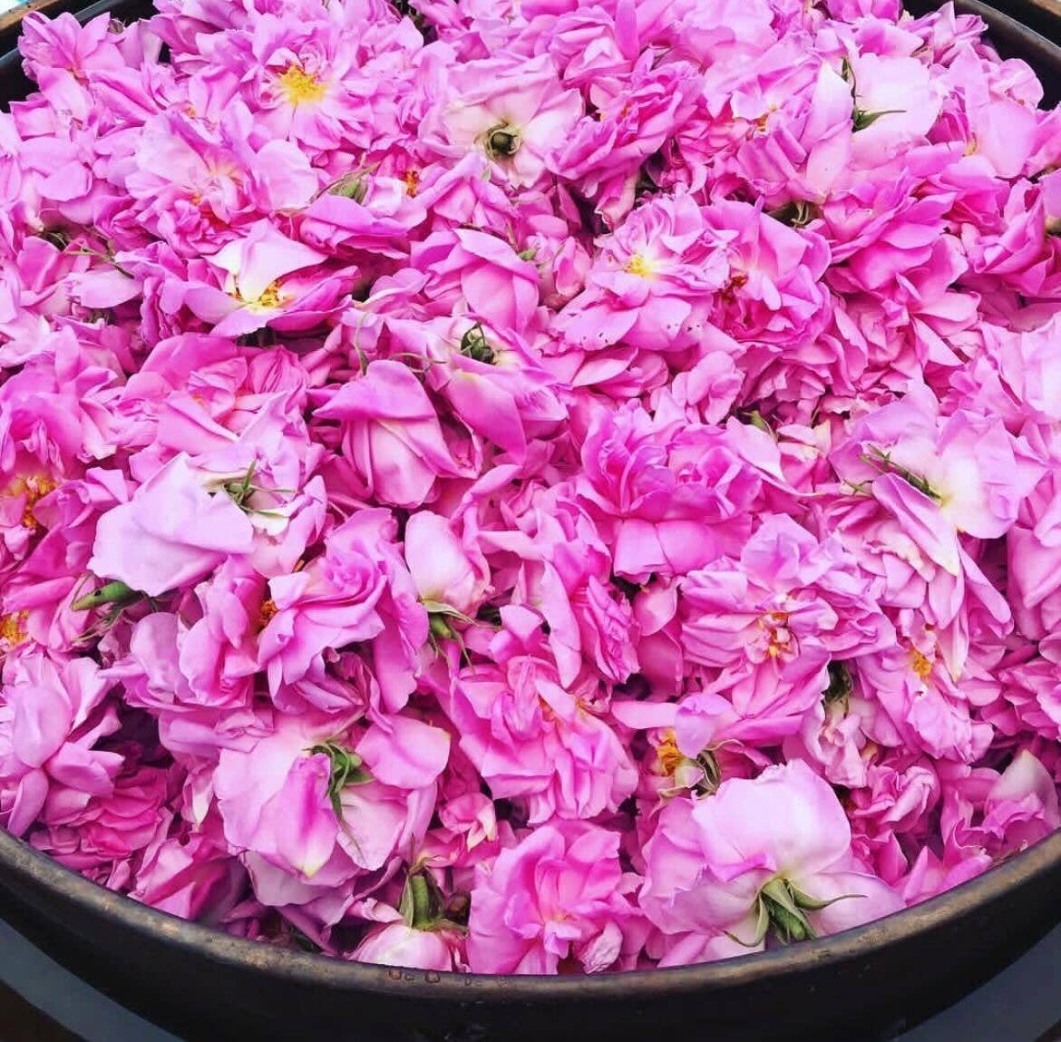 Sonoma Rose Petal HydroSoul