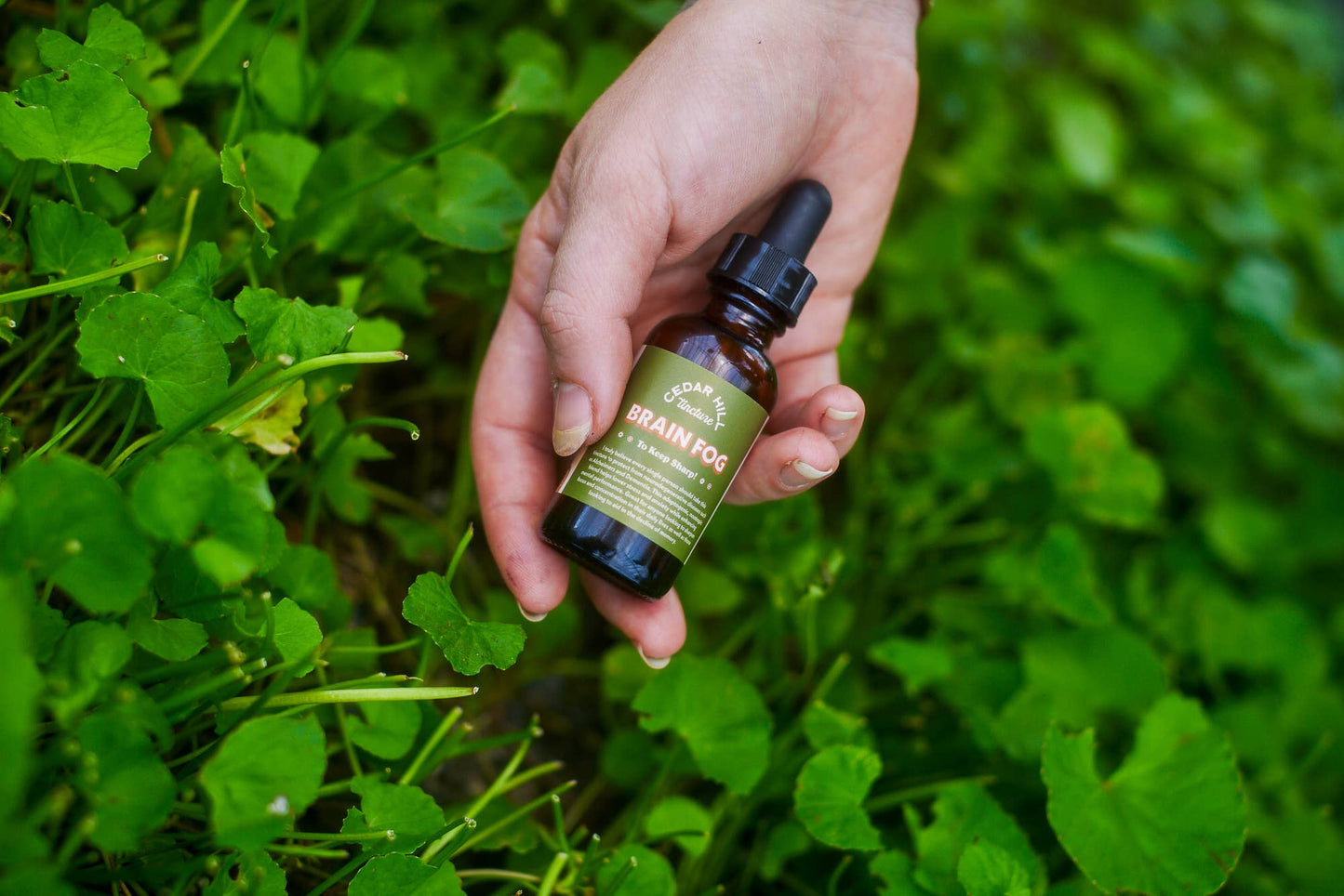 Brain Fog - Focus & Memory Tincture