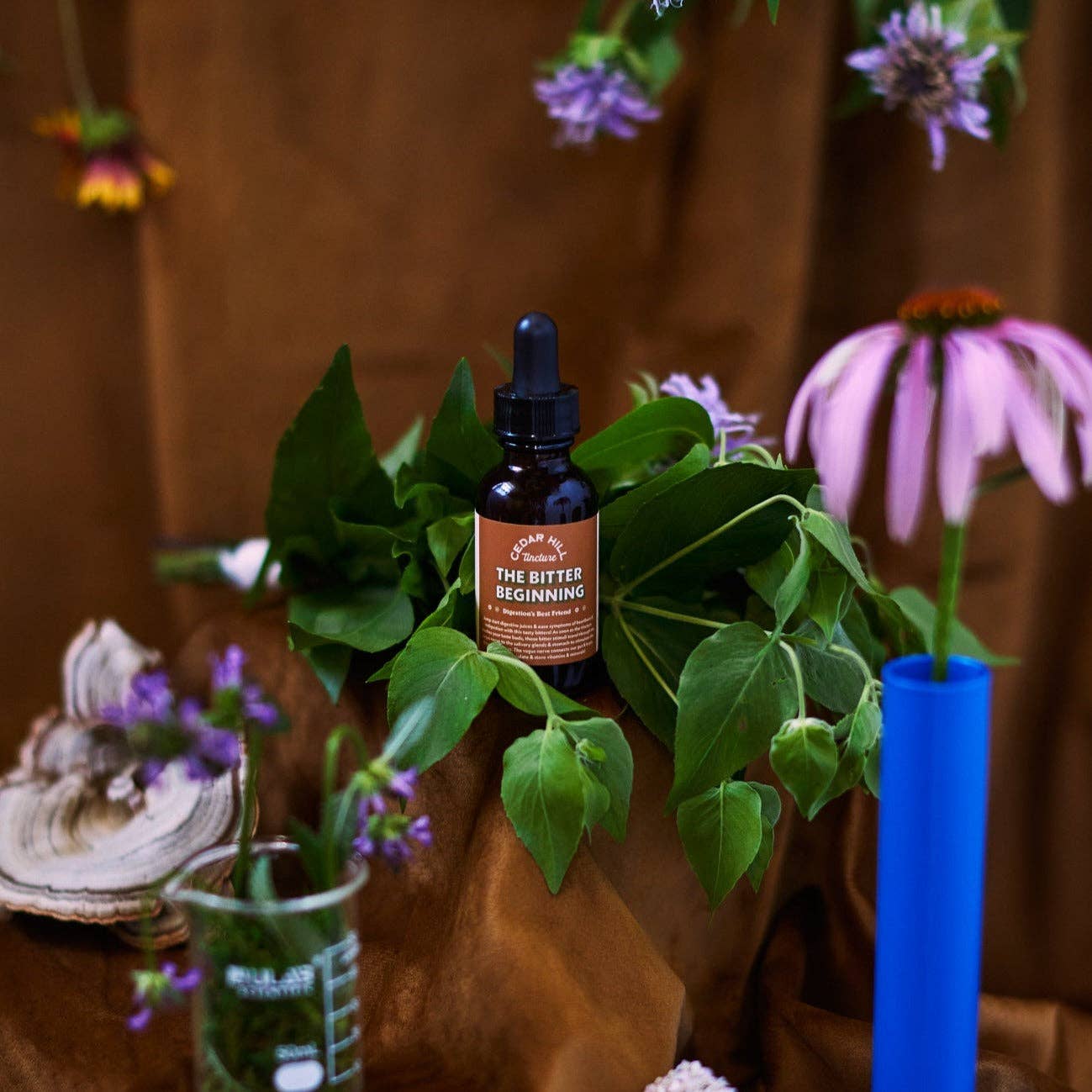 The Bitter Beginning Tincture– Bloat, Heartburn, Digestion