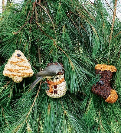 Christmas Shapes Singles