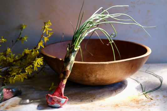 Arch vase ladle mini