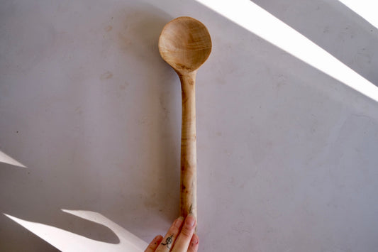 Daily mixer l maple Burl