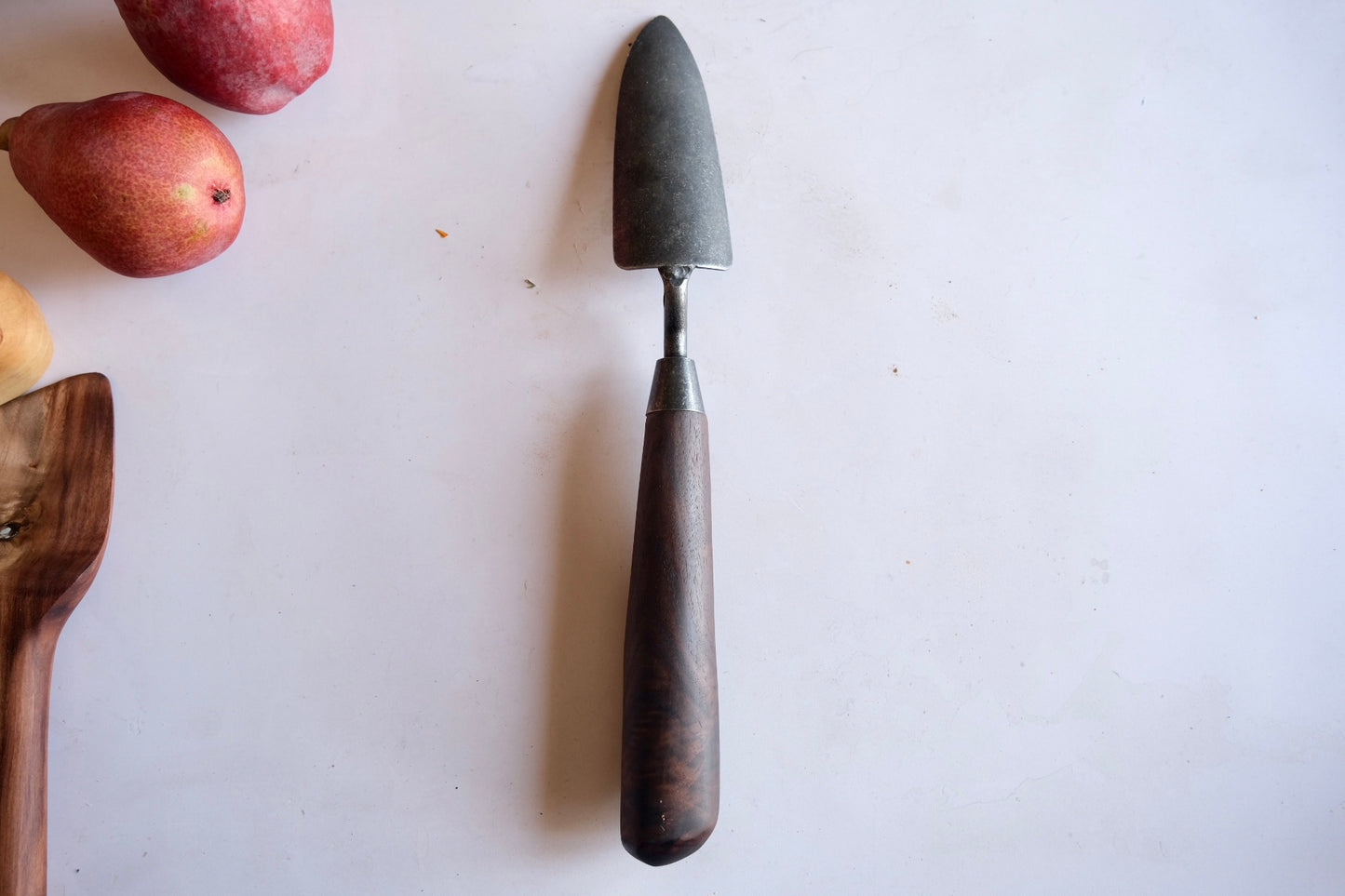 Walnut transplanter