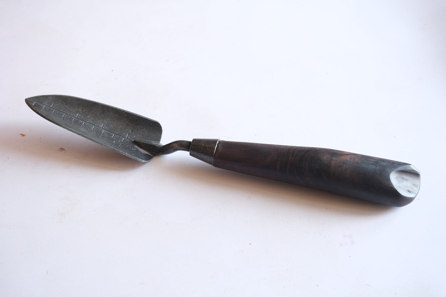 Walnut transplanter
