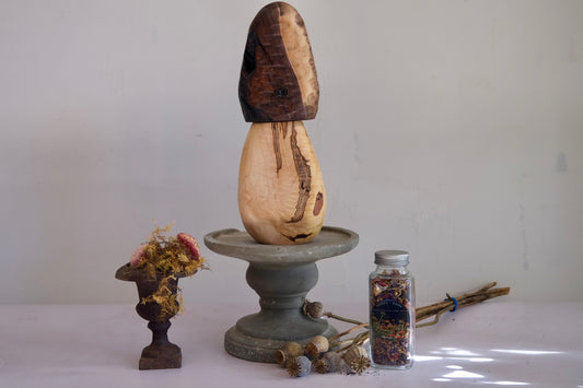 Morel mushroom spice grinder