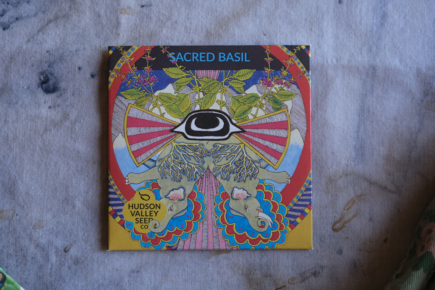 Sacred basil