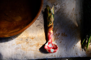 Arched vase ladle