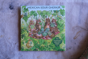Mexican sour gherkin