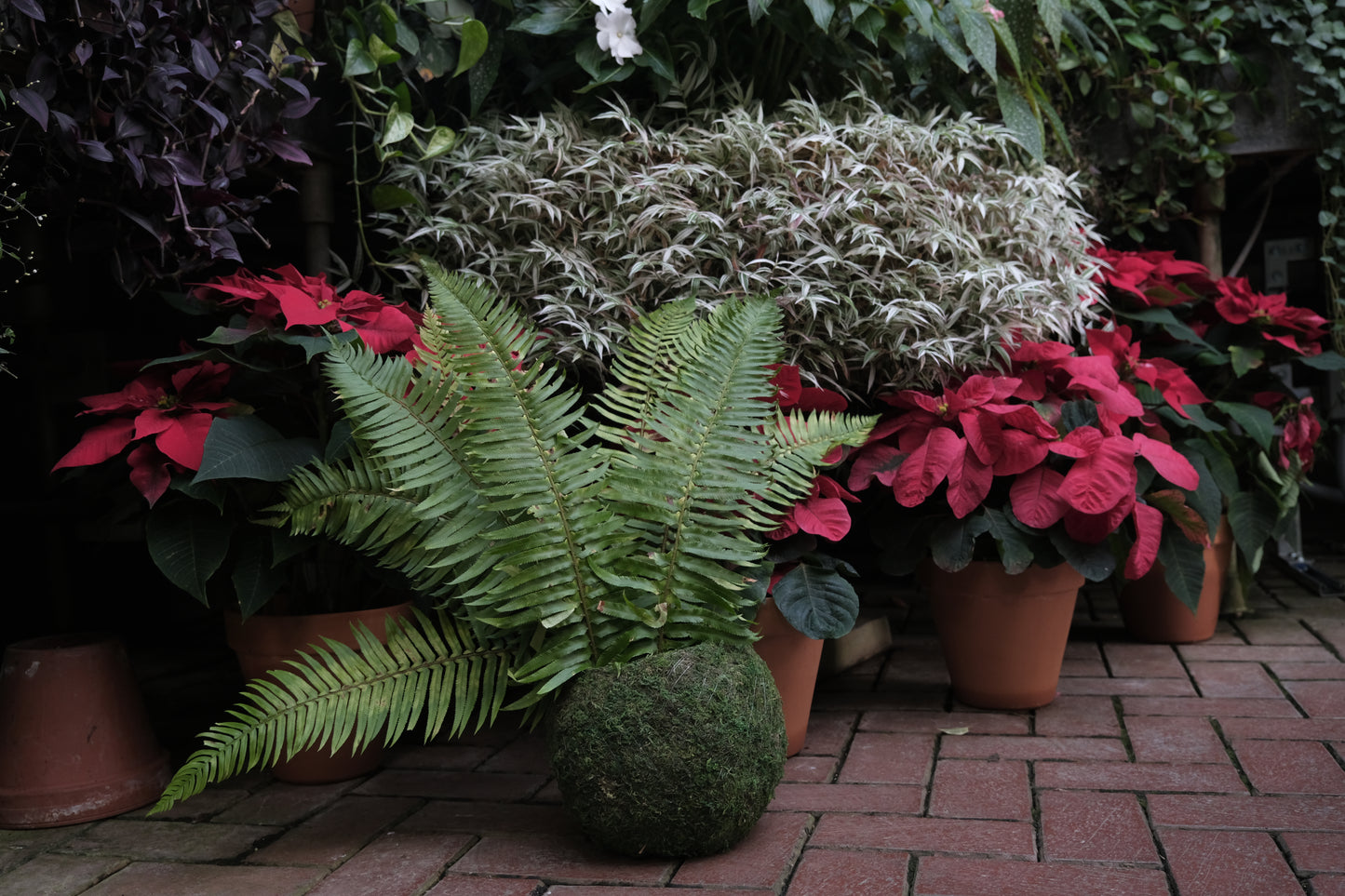 Haunt Advent calendar