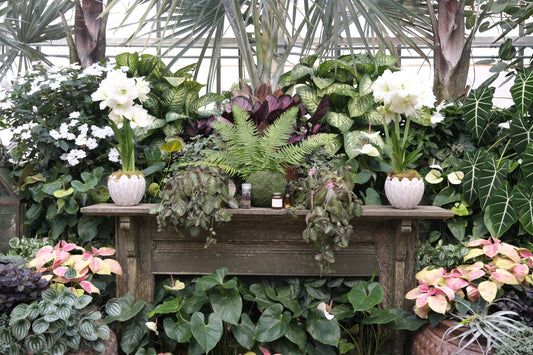 Haunt Advent calendar