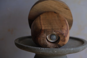 Mushroom spice grinder