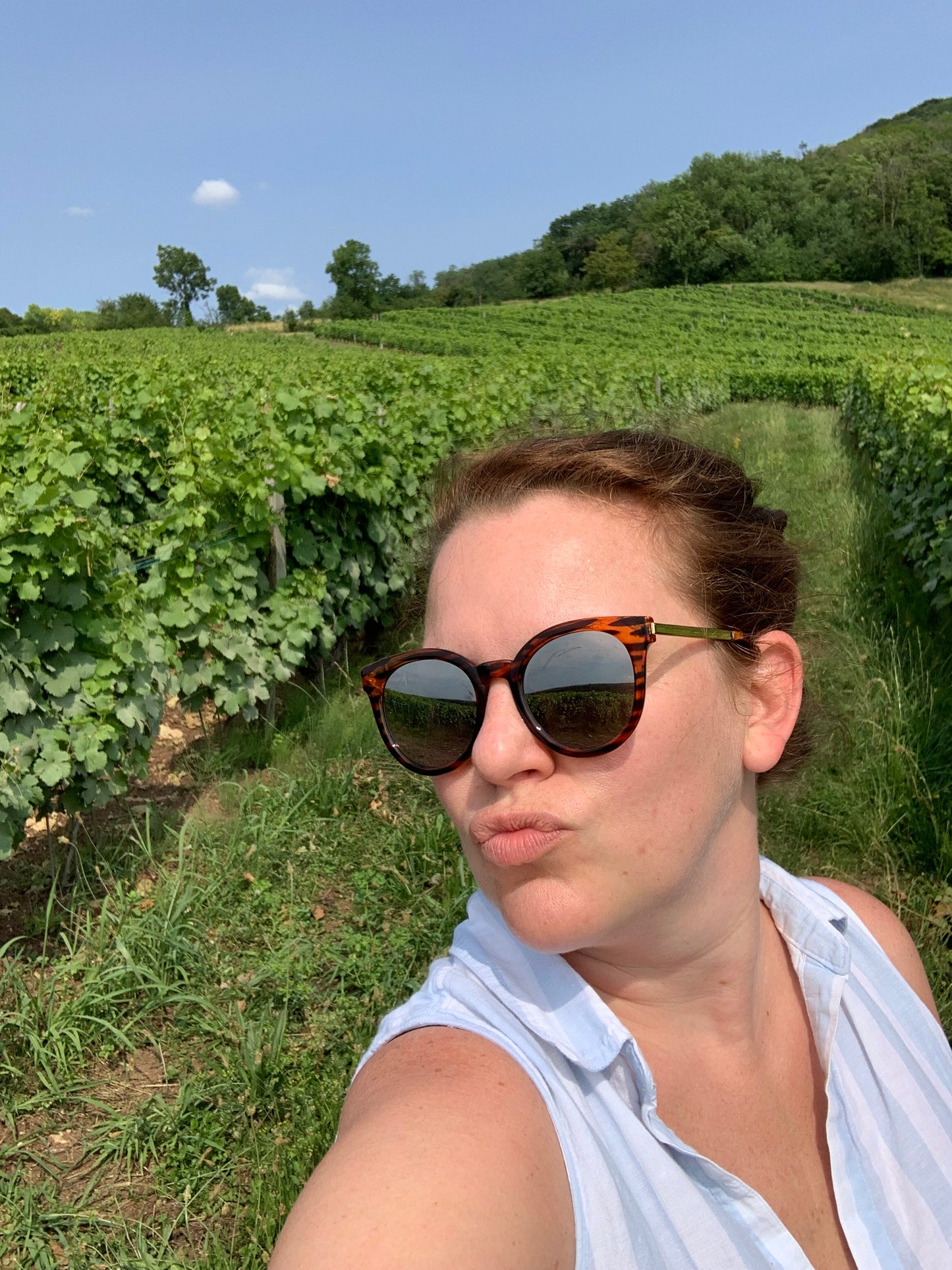 Shannon Mcsorley harvest dinner 8/21
