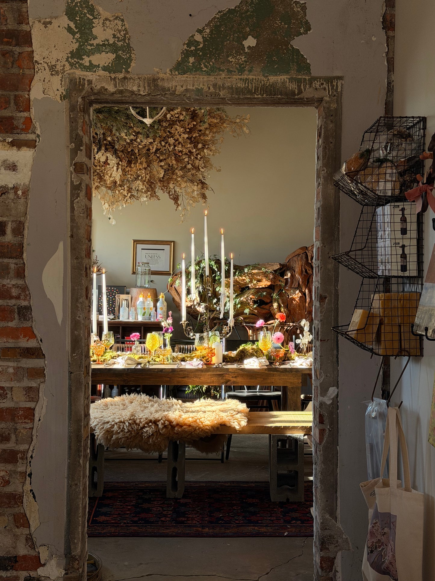 Shannon Mcsorley harvest dinner 8/21
