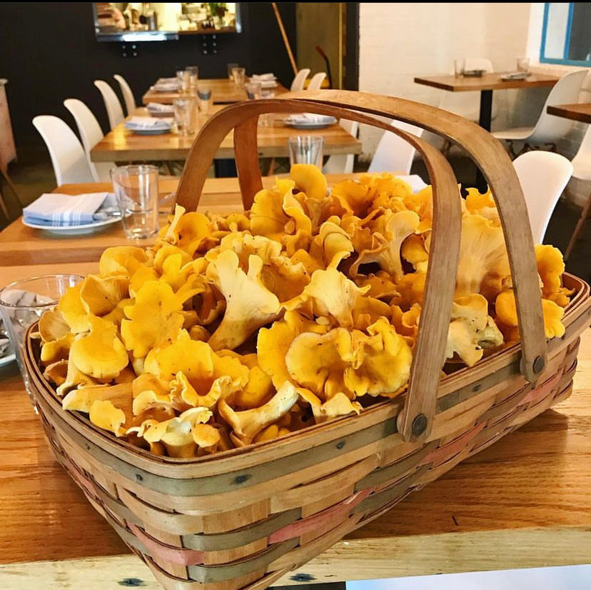 Shannon Mcsorley harvest dinner 8/21