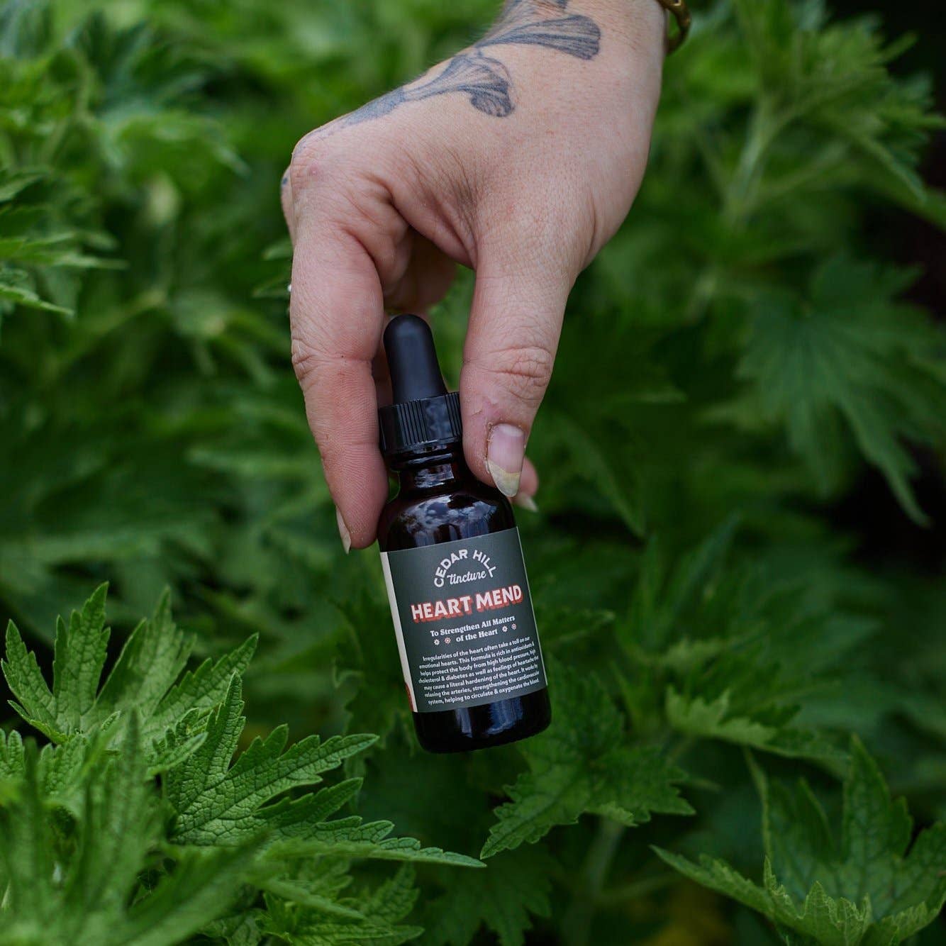 Heart Mend Tincture– Antioxidant Heart Health Support