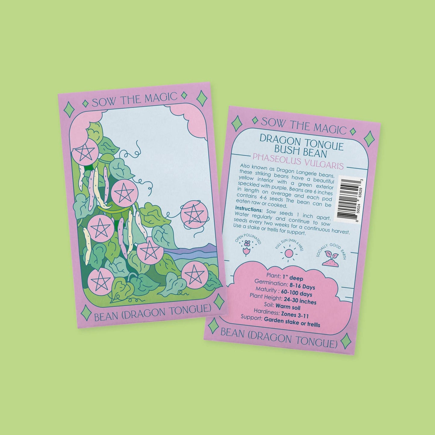 Dragon Tongue Bush Bean Tarot Garden + Gift Seed Packet
