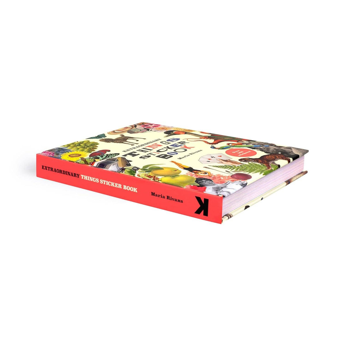 Extraordinary Things Sticker Book