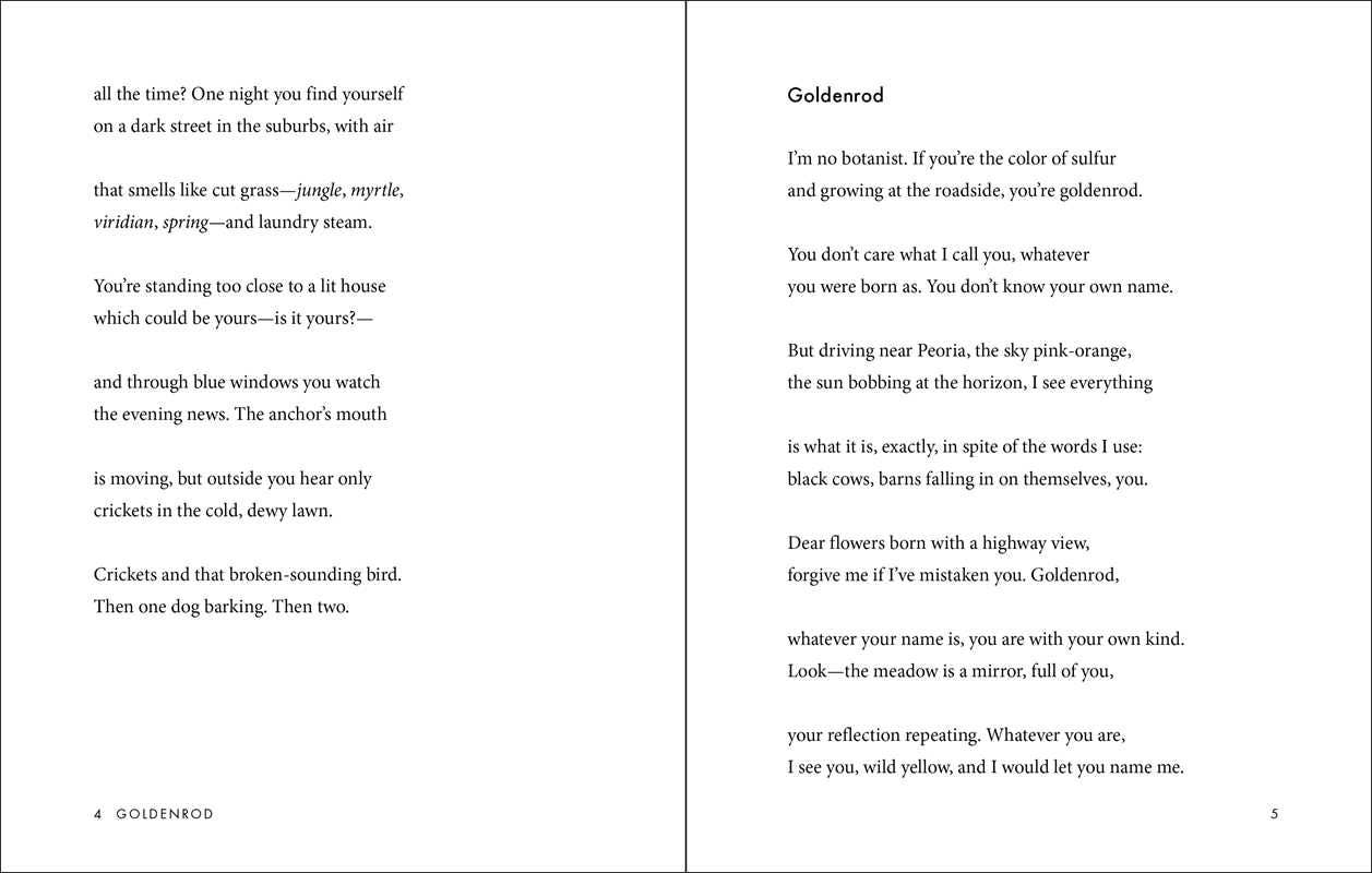 Goldenrod by Maggie Smith