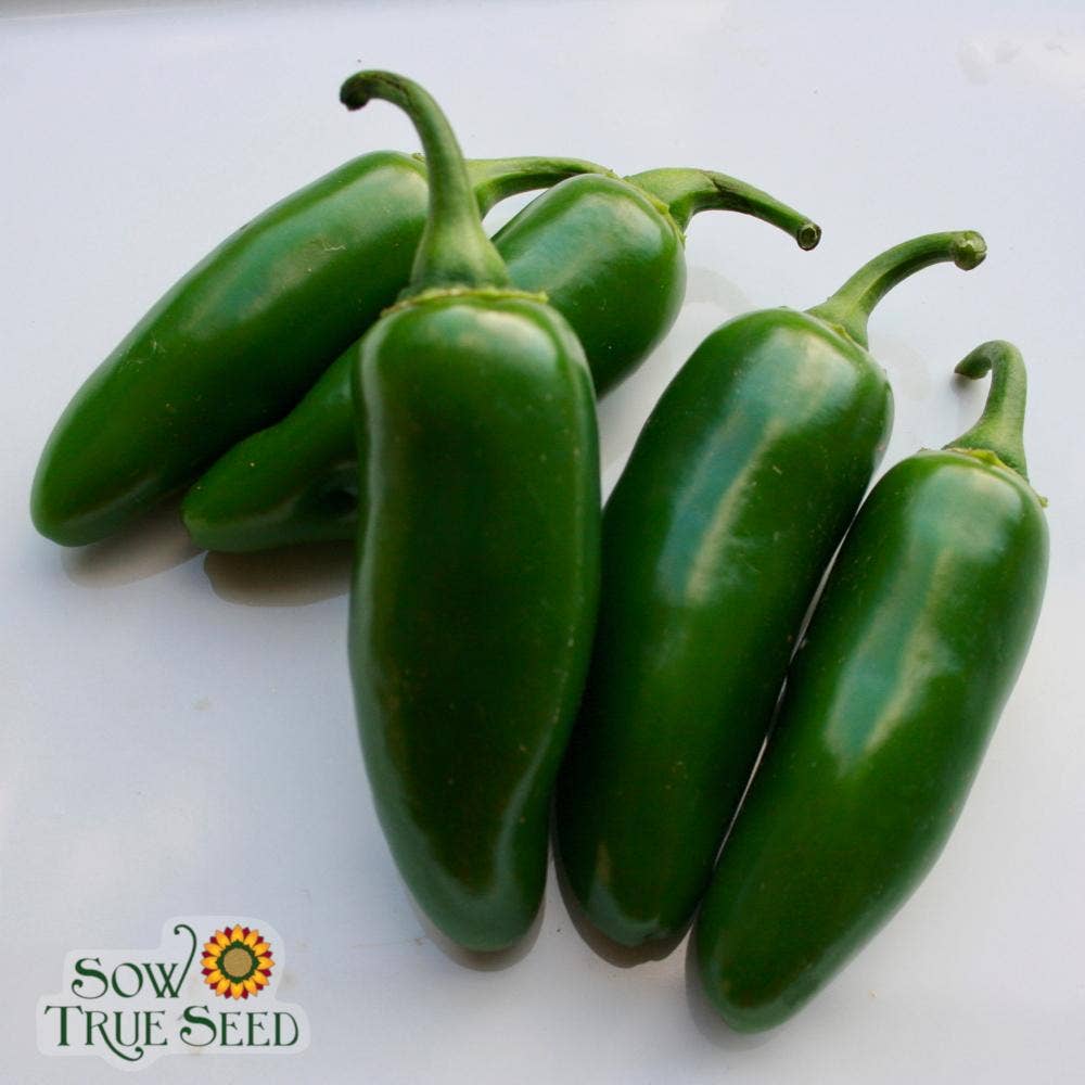 Hot Pepper Seeds - Early Jalapeño