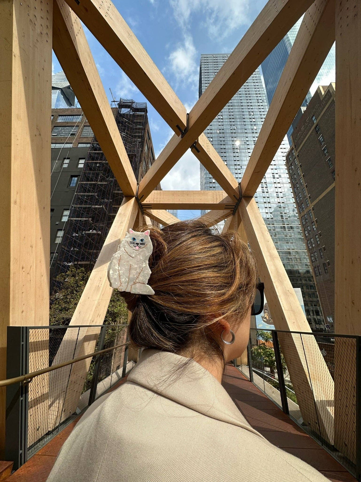 Hand-painted Persian Cat Claw Hair Clip | Eco-Friendly