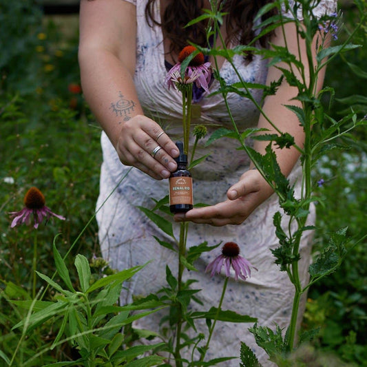 Renal Rid Urinary & Lymph Tincture