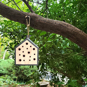 LITTLE BEE HOME