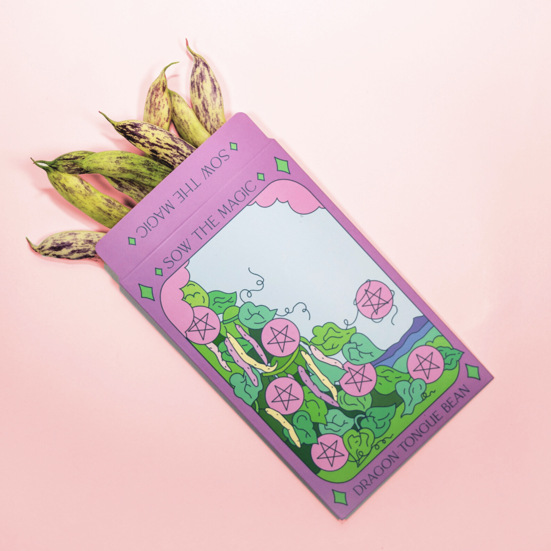 Dragon Tongue Bush Bean Tarot Garden + Gift Seed Packet