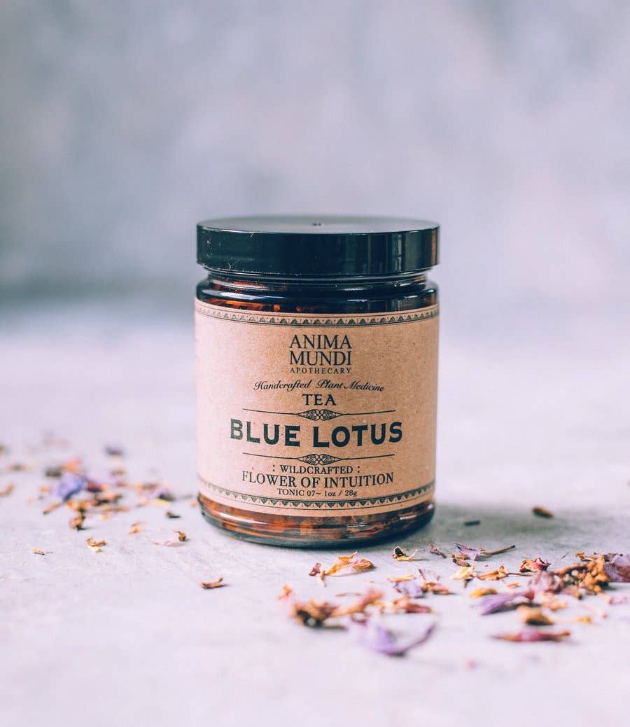 BLUE LOTUS | Flower of Intuition