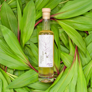 Ramp Vinegar