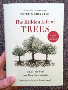 Hidden Life of Trees