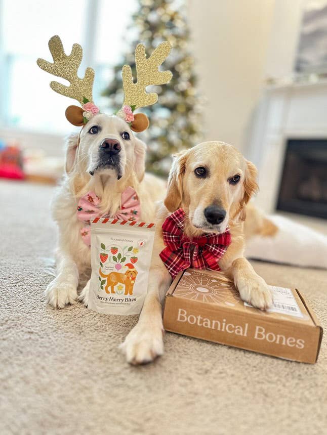 Berry Merry Bites - Holiday Dog Treats