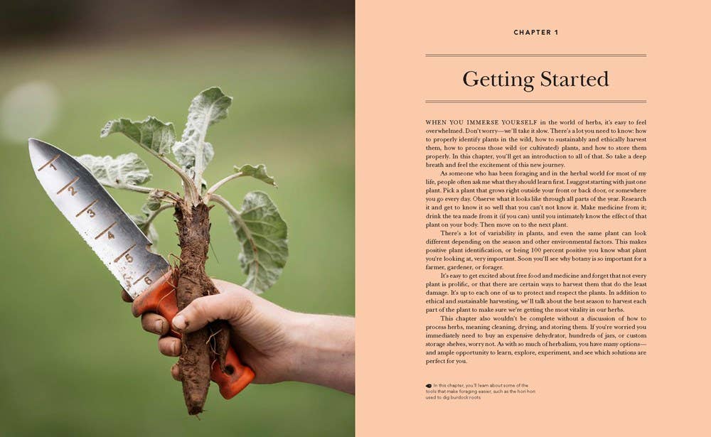 Herbal Handbook for Homesteaders: Farmed and Foraged