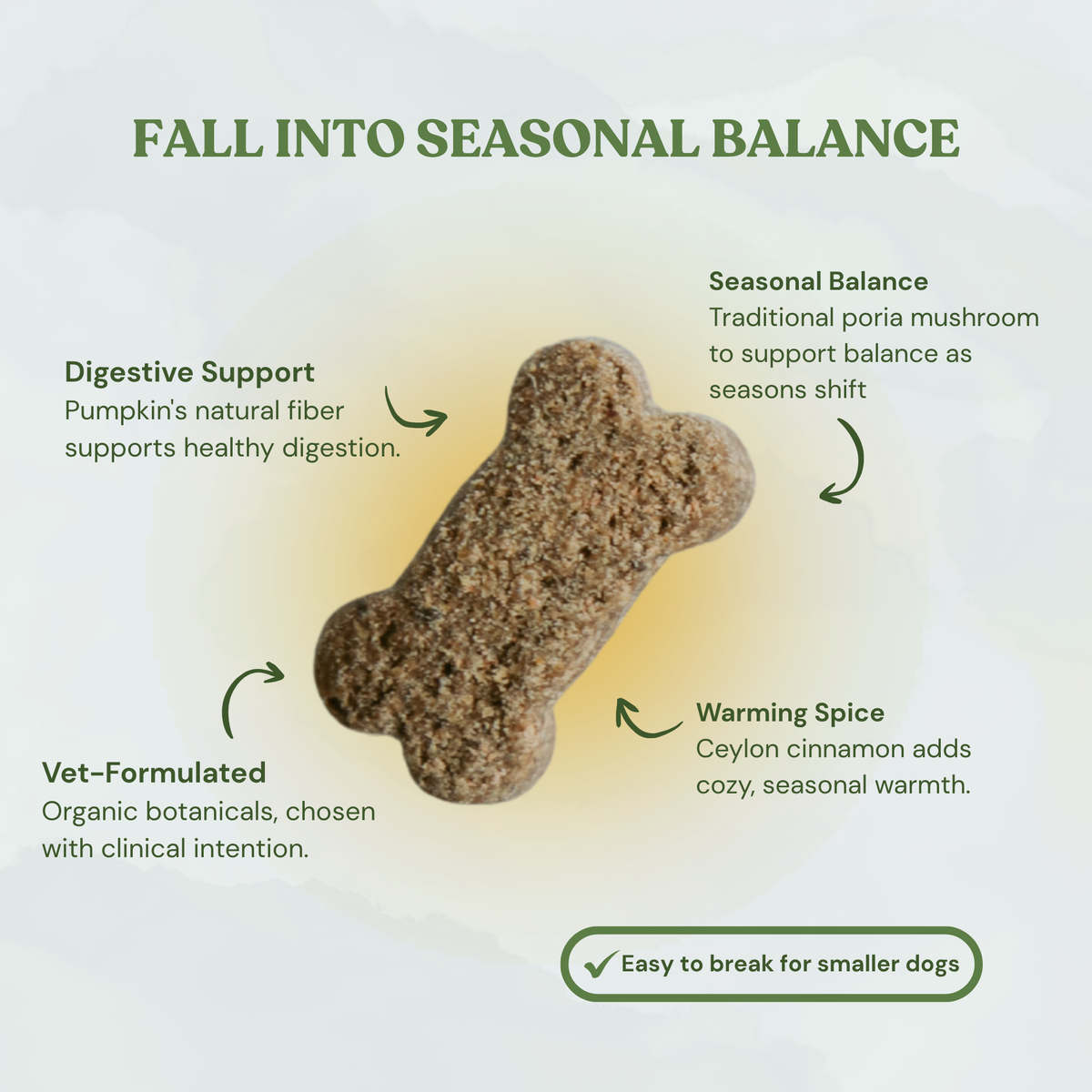 Pumpkin Spice Dog Treats 🎃  Fall, Autumn, Halloween