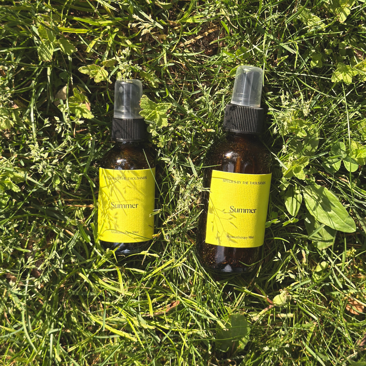Summer Natural Mosquito Repellent